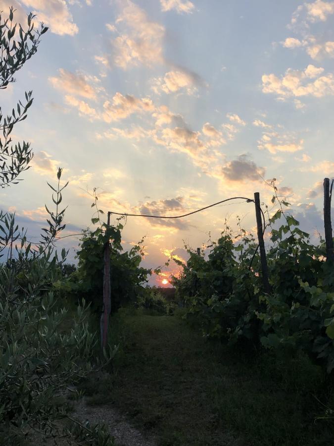 Cardo Boutique&Wine Resort Malchina エクステリア 写真