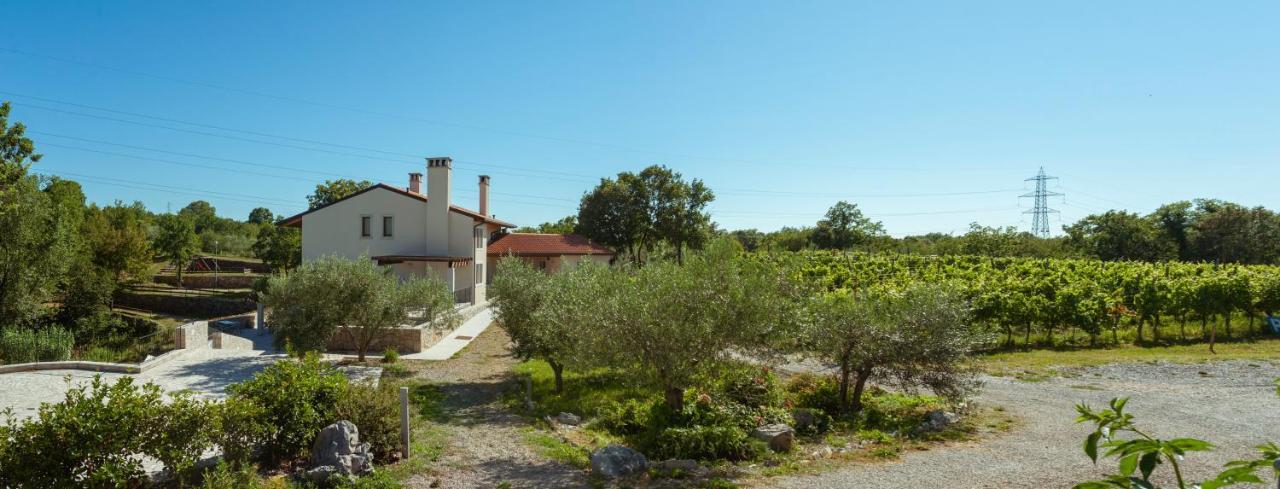 Cardo Boutique&Wine Resort Malchina エクステリア 写真