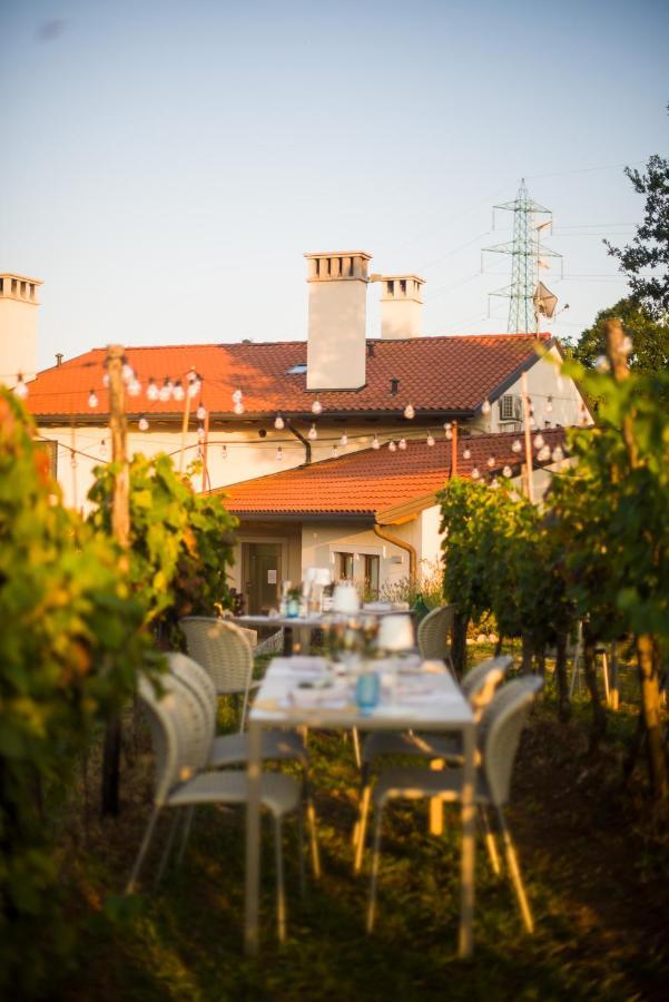 Cardo Boutique&Wine Resort Malchina エクステリア 写真